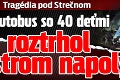 Tragédia pod Strečnom: Autobus so 40 deťmi roztrhol strom napoly!