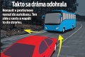 Tragédia pod Strečnom: Autobus so 40 deťmi roztrhol strom napoly!