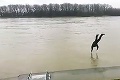 Šialená zábavka bratislavských tínedžerov: Skáču hlavičky do ľadového Dunaja!