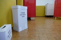 Parlamentné voľby si nenechalo ujsť množstvo Slovákov: Hlásia dobrú účasť!