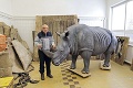 Zoo preparatórium v Žiari nad Hronom funguje už 66 rokov: Mŕtvym zvieratám vdychujú život!