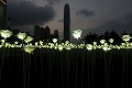 Nádherná oslava sviatku zaľúbených v Hongkongu: Metropolu zaplavili tisíce neobyčajných ruží!