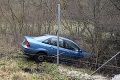 Podgurážený vodič to nezvládol: S autom skončil v plote zverinca