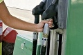Taliansko chce skladovať núdzové zásoby ropy v Česku: Naši susedia podmienky zahmlievajú!