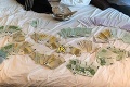 Polícia: Francúz chcel v Bratislave z farebných papierikov vyrobiť peniaze!