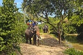 Bratislavčan Adam o hororovom zážitku v Thajsku: Jazdil som na slonovi smrti!