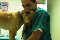 Fotografie zverejnené veterinármi vás dojmú: 14 výhod, ktoré prináša práca so zvieratami