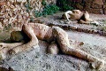 Popol z čilskej sopky pochováva mestá: Skaza pripomína Pompeje!