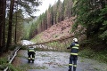 Počasie opäť vyčíňalo: Zdvihli sa hladiny riek a padali aj stromy!