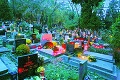 Cintoríny na Dušičky: Takto sa budú meniť otváracie hodiny