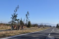 Osadníci spod Tatier: Drevo z lesa si vozia domov po novej cyklotrase!