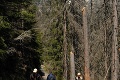 Tatry uzavreli 5 turistických trás: Musia ich vyrúbať, lebo ohrozovali ľudí!