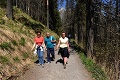 Tatry uzavreli 5 turistických trás: Musia ich vyrúbať, lebo ohrozovali ľudí!