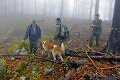 Stopovací bernardín z Tatier: Huňatá Berta zachraňuje a nalieva!