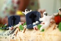 Sladké kam až oči dovidia: V Sliači upiekli 78-metrový koláč!