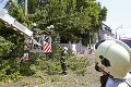 Zrútený strom z prezidentskej záhrady: Štefan hovorí o šťastí!