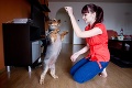 Pes roka 2012 Lucky: Granuly venuje psíkom z útulku!
