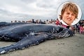 Martin je oceneným fotografom: Odfotil posledný výdych veľryby!