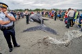 Martin je oceneným fotografom: Odfotil posledný výdych veľryby!