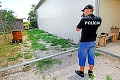 Trnavskí policajti: Pod oknami im rástlo konope!