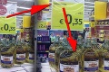 Načo toľký zhon? V supermarkete to s cenovkami nezvládli