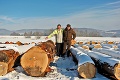 Svet ide po slovenskom dreve ako po údenom: Tisíce eur za naše stromy!