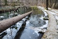 Nafotil stovky nádherných foto, tie posledné oplakal: Slovenský klenot je na kolenách