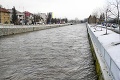 Kráľovná odsúdená na vyhynutie? Tohto obra považujú za vládcu Hrona