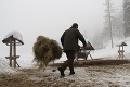 Na budúci týždeň príde jar: Povedzte to tejto zveri a vysmeje vás!