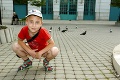 Bratislava bojuje s premnoženými operencami: Za kŕmenie holubov hrozí pokuta 33 eur!