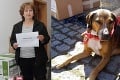 Jaroslava sa stará o 50 psíkov: Dona pre kámošov z útulku vyhrala kopec dobrôt!