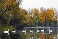 Slovensko žiari všetkými farbami: Pre toto milujeme jeseň!