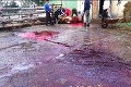 Krv, zvíjajúce sa zvieratá a plno moslimov: Pri Malackách rozpútali na farme hororové jatky!