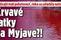 Policajti mali pohotovosť, rieka sa zafarbila načerveno: Krvavé jatky na Myjave?!