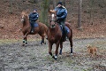 Pre slovenskú políciu pracuje 18 koní: Prísne podmienky, ktoré musí spĺňať mohutný strážca zákona!