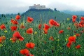 Pred dvomi rokmi to bola rana pre celé Slovensko: Tieto FOTKY tak veľmi bolia!