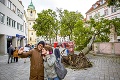 Statné stromy padali ako hnilé hrušky: Bratislavčania pri pohľade na ne plakali, turisti sa fotili