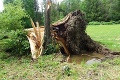 Kedysi výstavná skriňa Gemera zmenená na nepoznanie: Kiežby tie FOTO nikdy nevznikli!