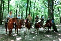 Šiesti statoční prejdú na koňoch 1 700 km: Od Jadranského k Baltickému moru za 2 mesiace