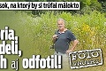 Podaril sa mu kúsok, na ktorý by si trúfal málokto: Mnohí len hovoria, že ich videli, Pavol ich aj odfotil!