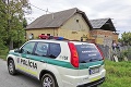 Slovensko šokoval zverský čin dvoch tínedžeriek: Psíkov ubili obzvlášť ohavným spôsobom!