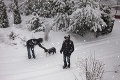 Čitatelia posielajú FOTO zo všetkých kútov krajiny: Na Slovensko sa valia tony snehu!