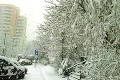 Čitatelia posielajú FOTO zo všetkých kútov krajiny: Na Slovensko sa valia tony snehu!