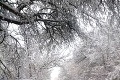 Čitatelia posielajú FOTO zo všetkých kútov krajiny: Na Slovensko sa valia tony snehu!