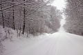 Čitatelia posielajú FOTO zo všetkých kútov krajiny: Na Slovensko sa valia tony snehu!