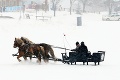 Čitatelia sa prekonali, na svete je REKORDNÁ fotogaléria kalamity: Sneh vs. Slovensko!