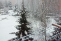 Ešte sa nezačal apríl, no počasie sa už zbláznilo: Zima a sneh opäť ovládli Slovensko!