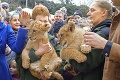 V bojnickej zoo zavládol obrovský smútok: Chcela mu pomôcť, no zachrániť ho už nedokázala