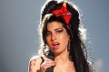 Veci speváčky Winehouse († 27) vydražili za 3,4 milióna eur: O jednu z nich bol enormný záujem