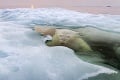 Dych vyrážajúce! Pozrite si najlepšie fotografie ocenené prestížnym časopisom National Geographic